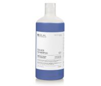 Шампунь для светлых, седых и осветленных волос Arual Silver Shampoo 500 мл