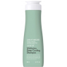 Шампунь від випадіння волосся, освіжаючий проти лупи Daeng Gi Meo Ri Look At Hair Loss Minticcino Deep Cooling Shampoo 500 мл