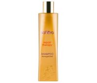 Шампунь для догляду за пошкодженим волоссям Demira Repair Therapy 300 мл