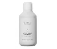 Активний відновлювальний шампунь для волосся Elgon Link.D 0 Active Repair Shampoo