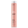 Шампунь для фарбованого волосся Erayba ABH Color Care Shampoo