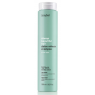 Шампунь очищаючий для волосся Erayba ABH Detox Refresh Shampoo