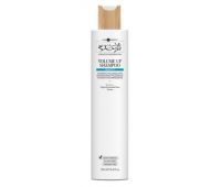 Шампунь для об'єму волосся Hair Company Inimitable Style 250 мл 