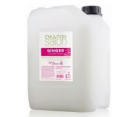 Кондиціонер для блиску з екстрактом імбиру Helen Seward Emulpon Ginger, 10 л