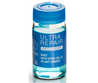 Lendan Recovery Ultra Repair Супер відновлюючий концентрований бустер 10 мл*6 шт