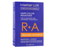 Засіб для видалення фарби з волосся Master LUX Professional 2 шт по 100 мл