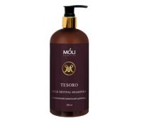 Шампунь для інтенсивного живлення та зміцнення волосся Moli Tesoro Silk Revival Shampoo 500 мл