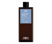 Шампунь проти лупи для жирної шкіри голови Shot Normalizing Anti-dandruff Аnti-oily Scalp Shampoo 500 мл